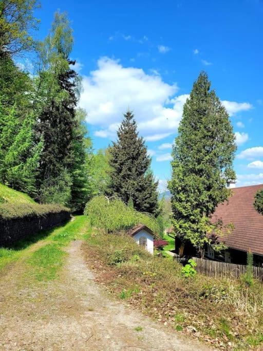 Roubenka U Kaplicky Villa Liberec Kültér fotó