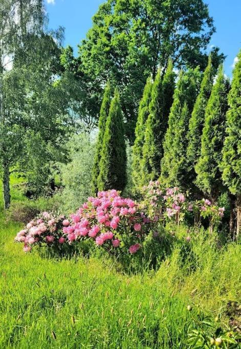 Roubenka U Kaplicky Villa Liberec Kültér fotó